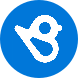 Birdeye Logo